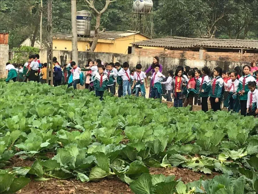 Trường Tiểu Học Nguyễn Phúc