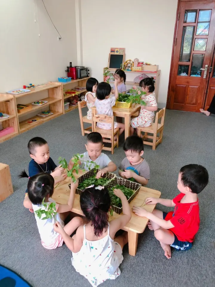 Trường Mầm Non Hoàng Yến