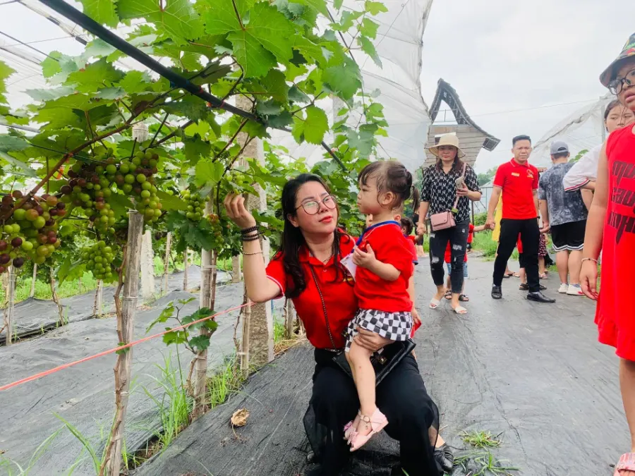 Trung Tâm Giáo Dục Hoà Nhập Bình Minh