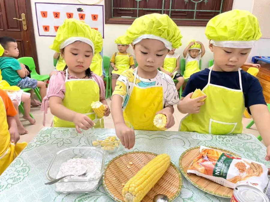 Trường Mầm Non Hoa Trạng Nguyên