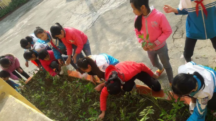 Trường Tiểu Học Gia Tiến