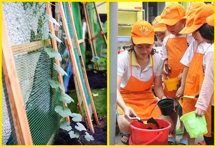 Trường mầm non Kidzone - Phú Hữu