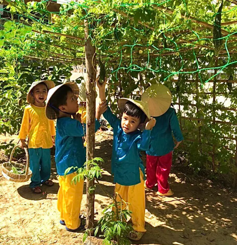 Trường Mầm Non Hoa Sen