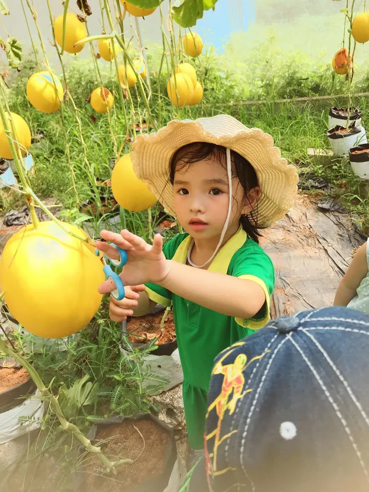 Trường Mầm Non Kim Ngọc