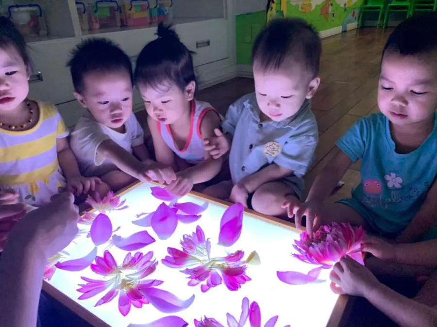 Trường Mầm Non Bé Thơ (Baby Preschool)