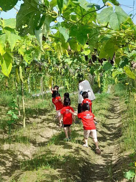 Trường Mầm Non Tư Thục Happy Edu
