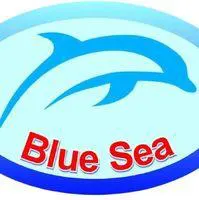 Trường Mầm Non Bluesea