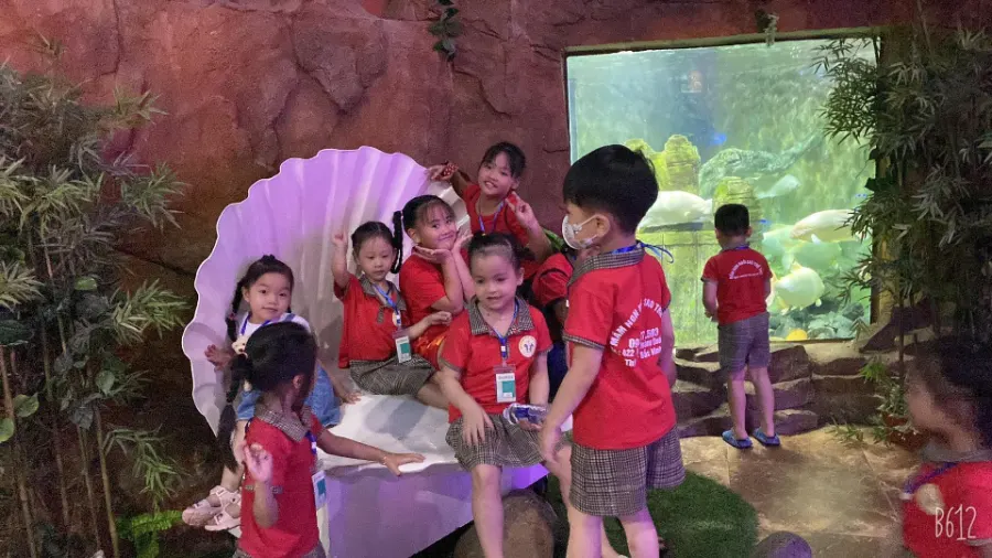 Trường Mầm Non Ngôi Sao Trẻ Thơ