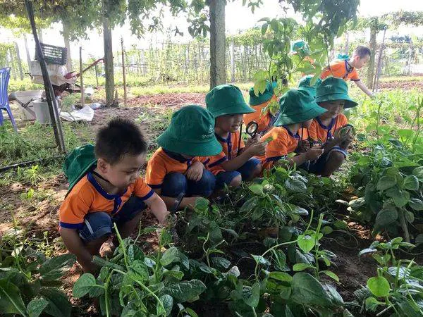 Trường Mầm Non Sơn Ca Xanh