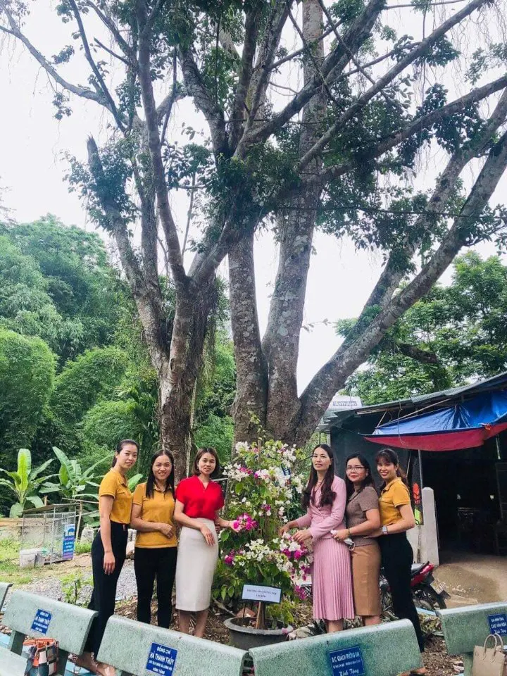 Trường Mầm Non Lương Nội