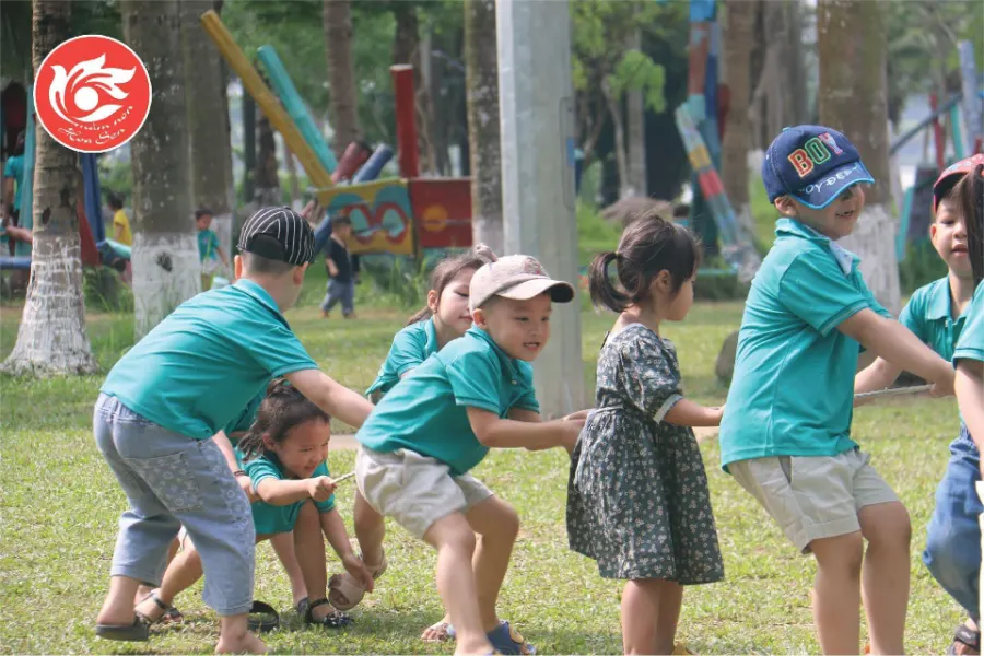 Trường Mầm Non Hoa Sen
