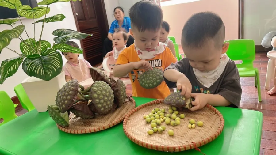 Trường Mầm Non Hello Kids