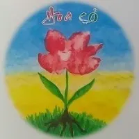Trường Mầm Non Hoa Cỏ