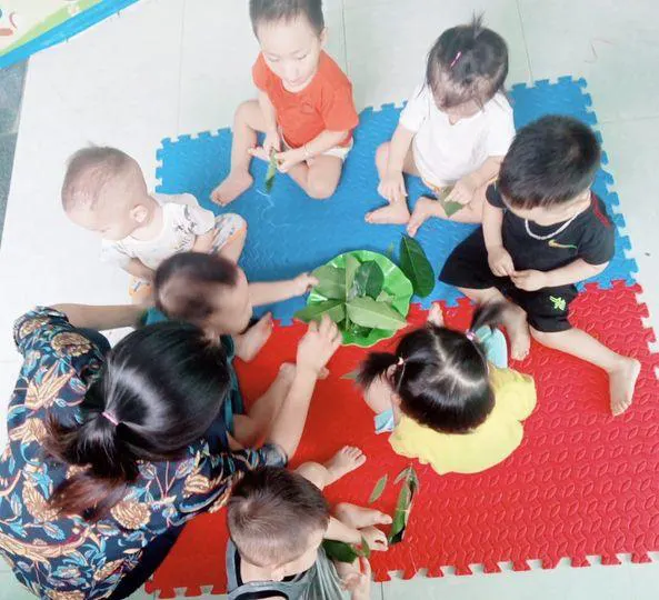 Trường Mầm Non Hoa Hồng