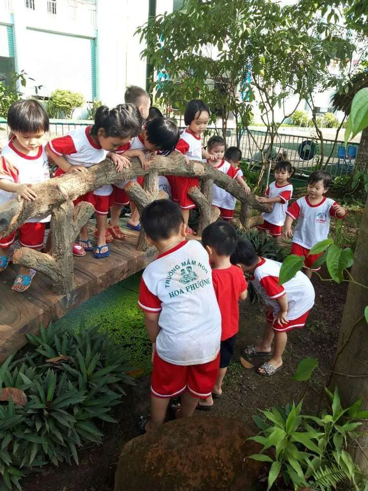 Trường Mầm Non Hoa Phượng