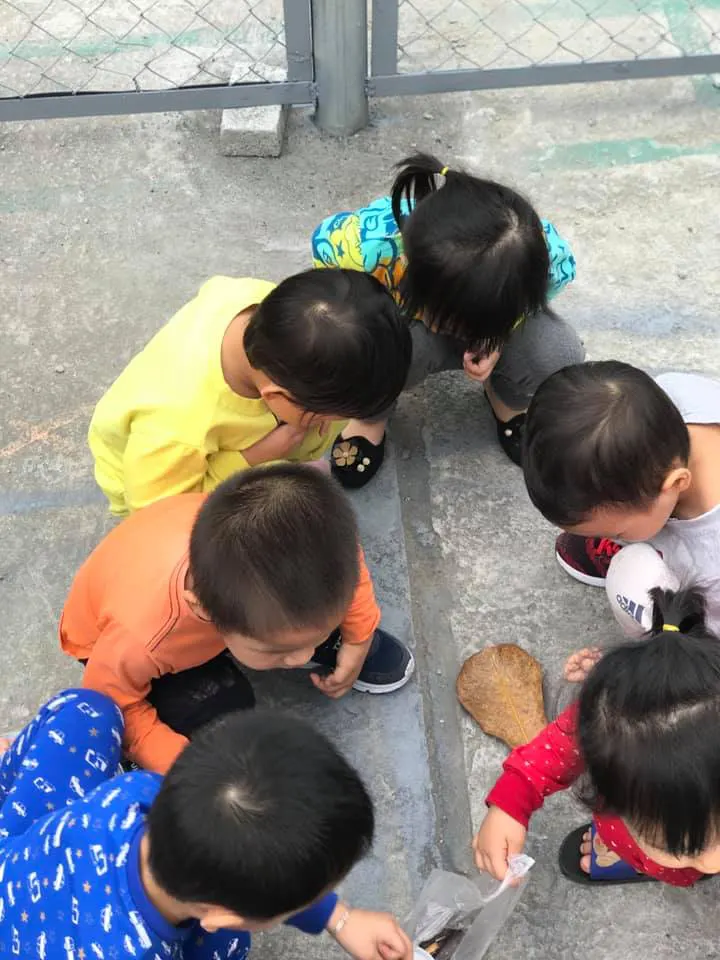 Trường mầm Ngôi Sao Nhí (Little Star)