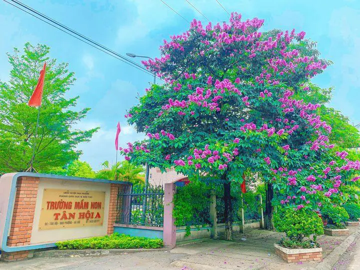 Trường Mầm Non Tân Hội A
