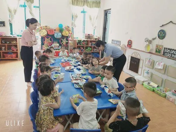 Trường Mầm Non Hoa Phượng