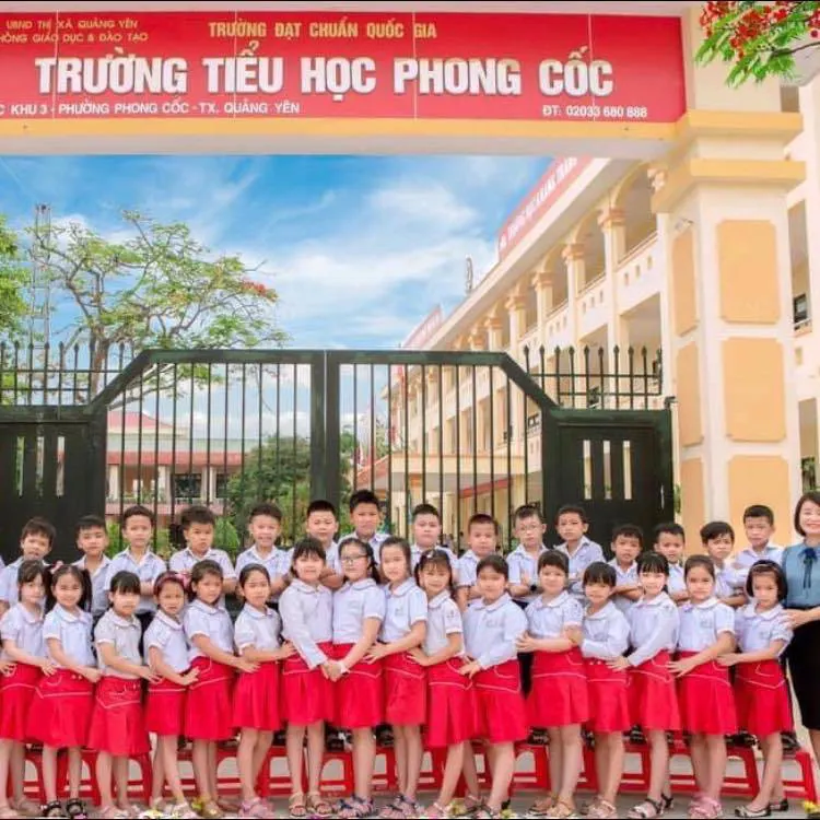 Trường Tiểu Học Phong Cốc