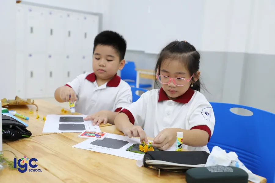Trường TH, THCS IGC Bến Tre