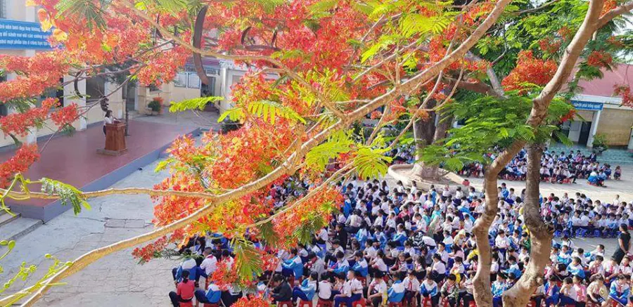 Trường Tiểu Học Quang Trung
