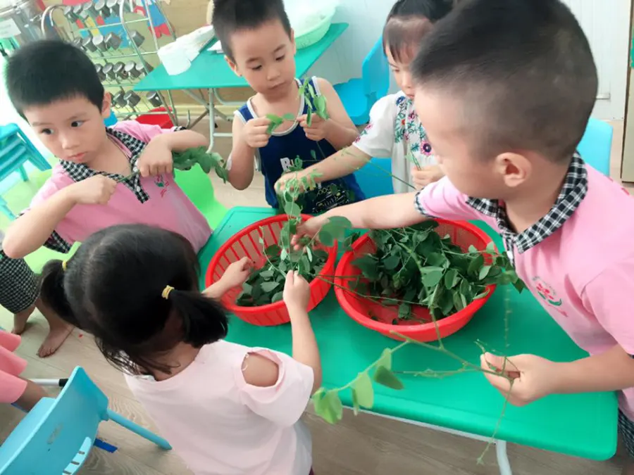 Trường mầm non Phượng Hồng
