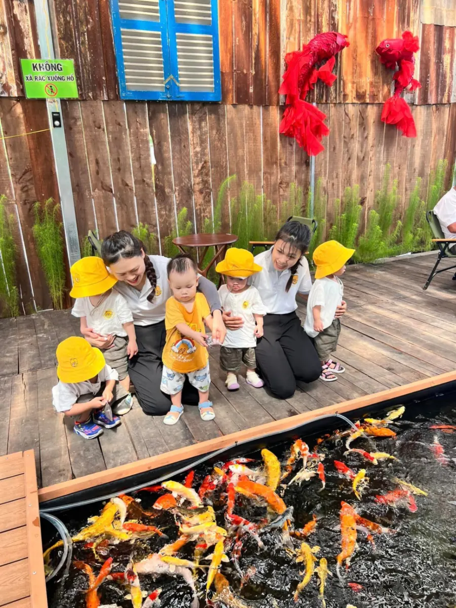 Trường Mầm Non Cá Heo Nhỏ (Little Dolphins Preschool)