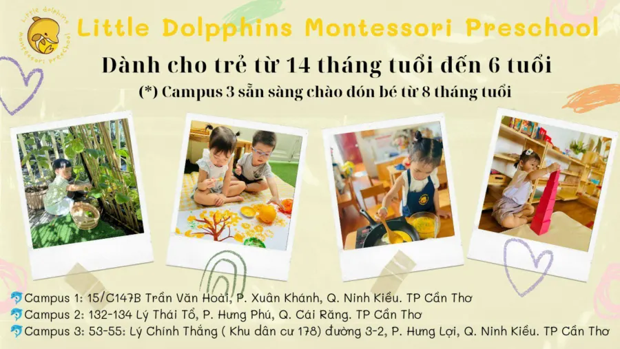 Trường Mầm Non Cá Heo Nhỏ (Little Dolphins Preschool)