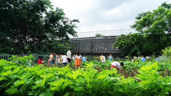 Trường mầm non farming kindergarten