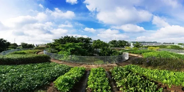 Trường mầm non farming kindergarten