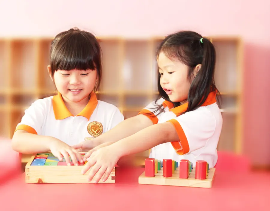Trường Mầm non Quốc tế Mỹ Úc (AVS) – Bình Thới Quận 11
