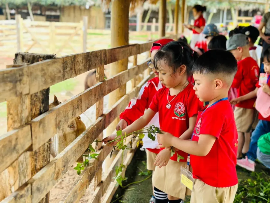 Trường Mầm Non Peter Garden