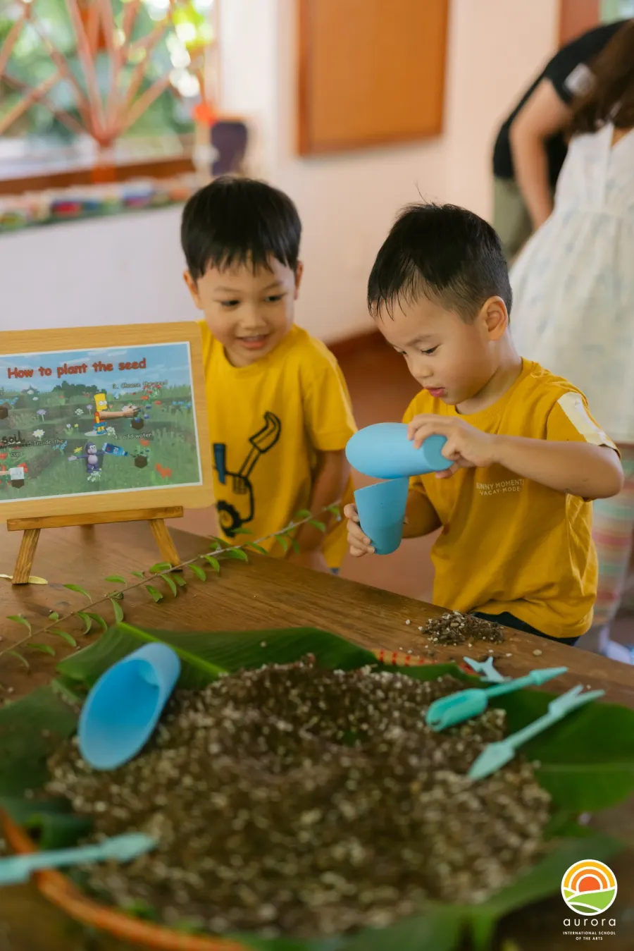 Mầm non Aurora International School Of The Arts