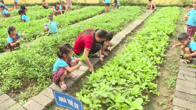 Trường mầm non Phú Yên