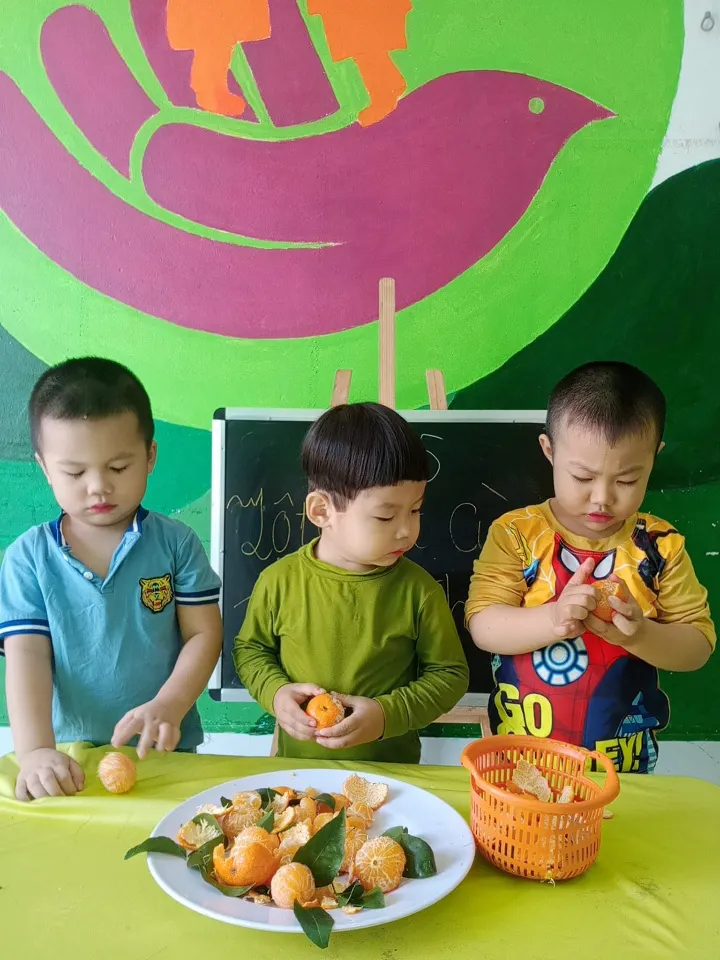 Mầm Non Sơn Ca
