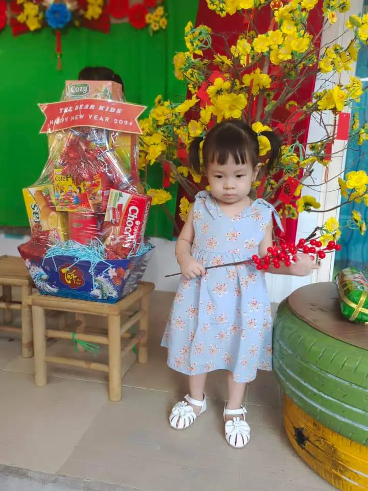 Mầm Non Trâm Anh