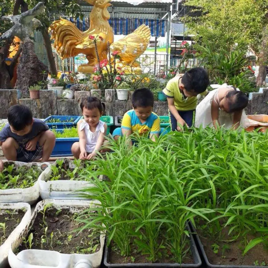 Mầm Non Ban Mai