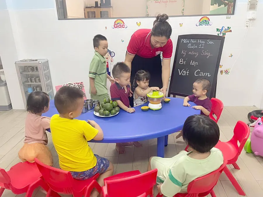 Trường Mầm Non Hoa Sen Quận 12