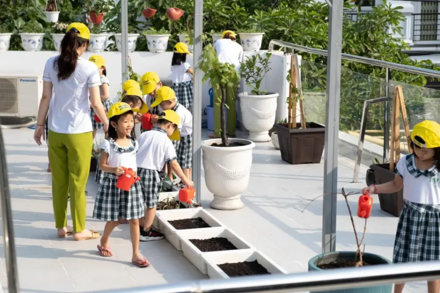 Trường mầm non Hoa Mai