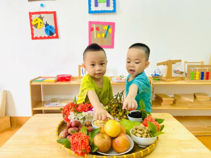 Mầm Non Mặt Trời Xanh