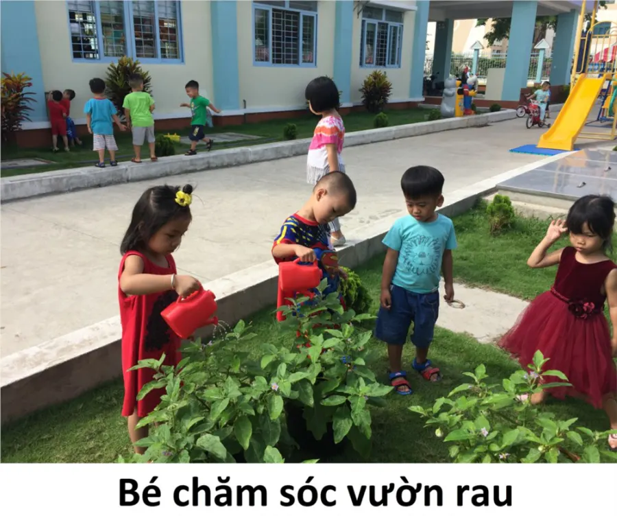 Trường mầm non Hoa Đào