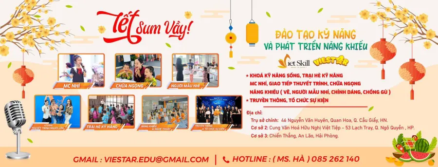 Trung tâm Đào tạo và Phát triển VIESTAR Hải Phòng
