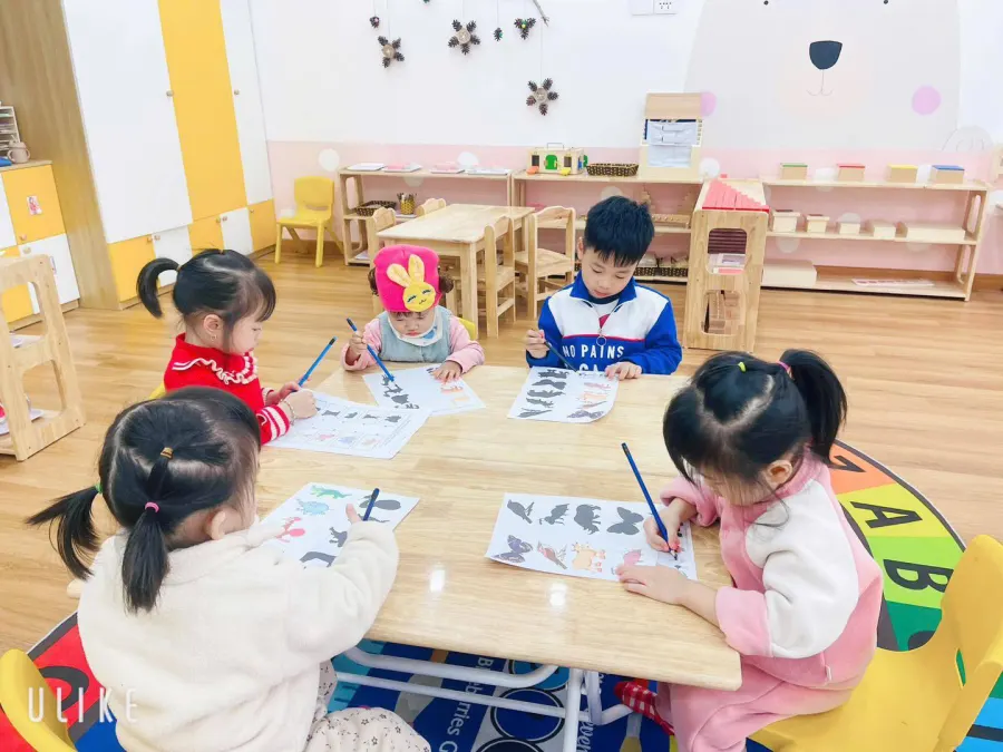 Hệ thống Mầm Non P.Montessori