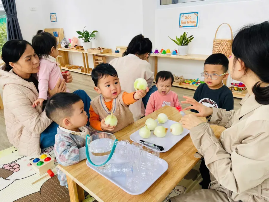 Trường Mầm non TMon School (TMS)