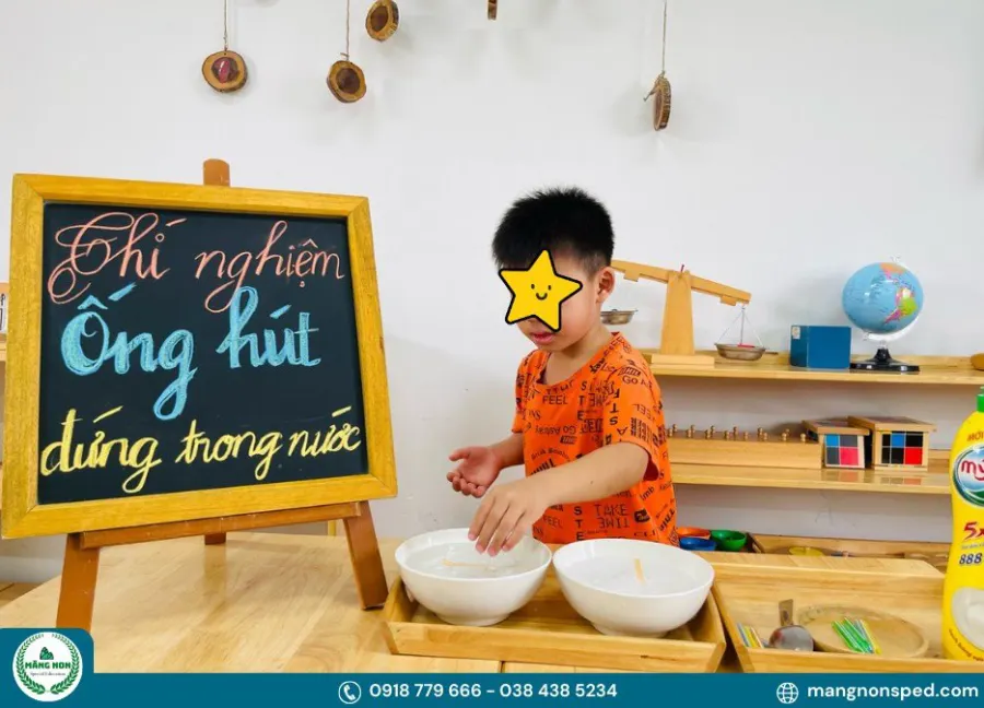 Trung tâm Hỗ trợ Giáo dục đặc biệt Măng Non - MN SPED
