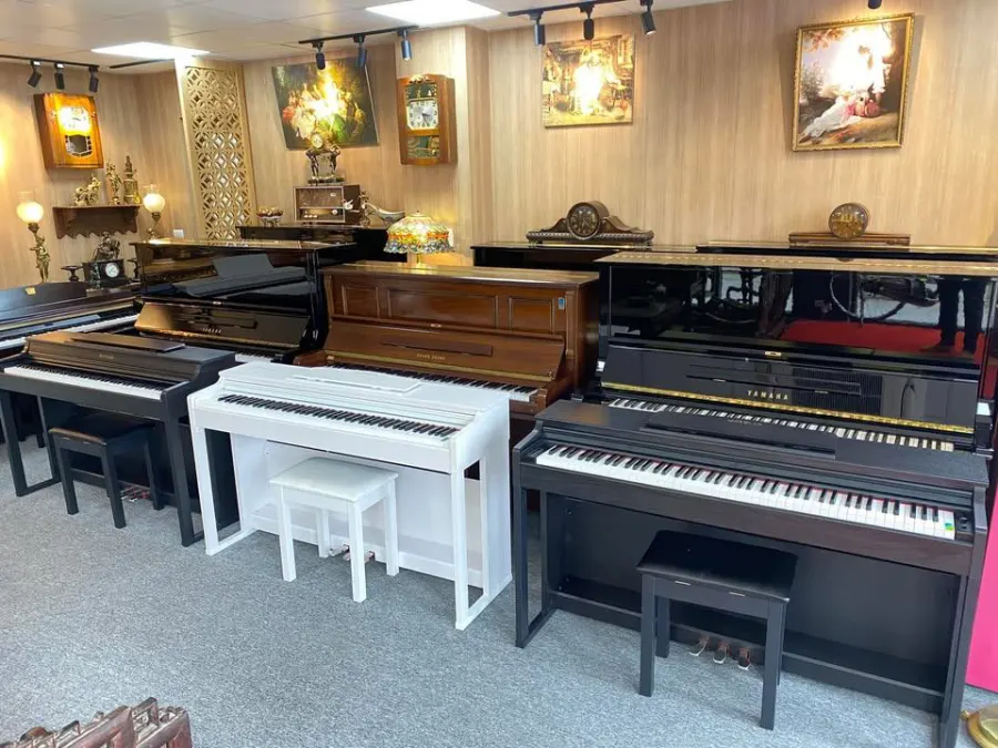 Trung tâm Nghệ Thuật SON MUSIC