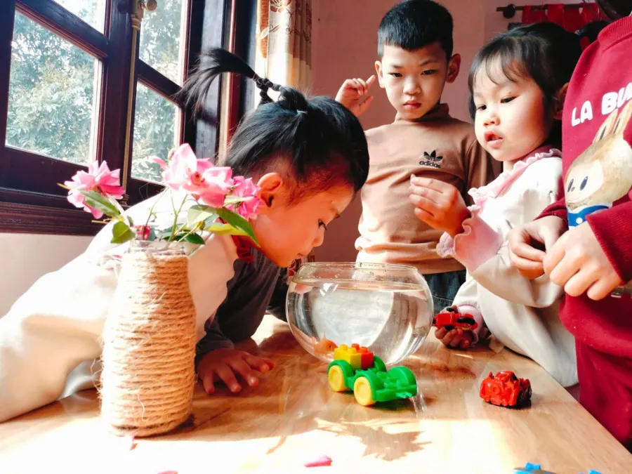 Hệ thống Giáo dục Đặc biệt Dream of Kids