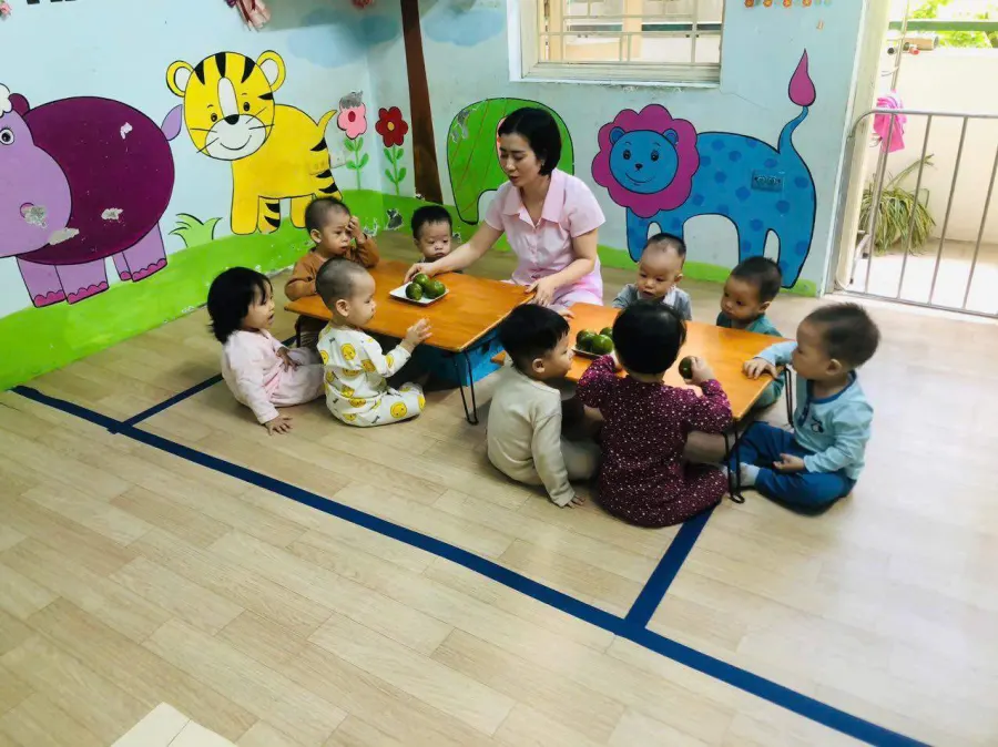 MẦM NON HOA VI
