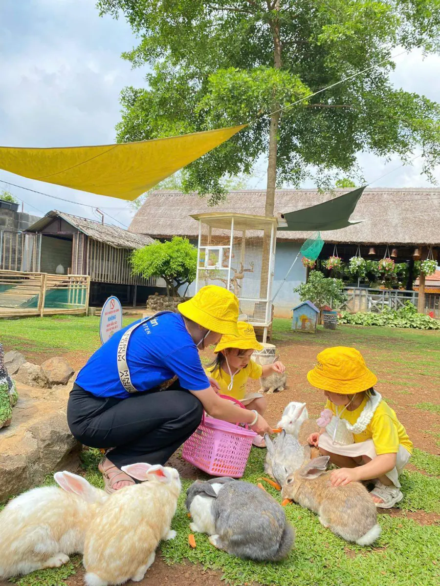Trường Mầm non Midori - Midori Kindergarten
