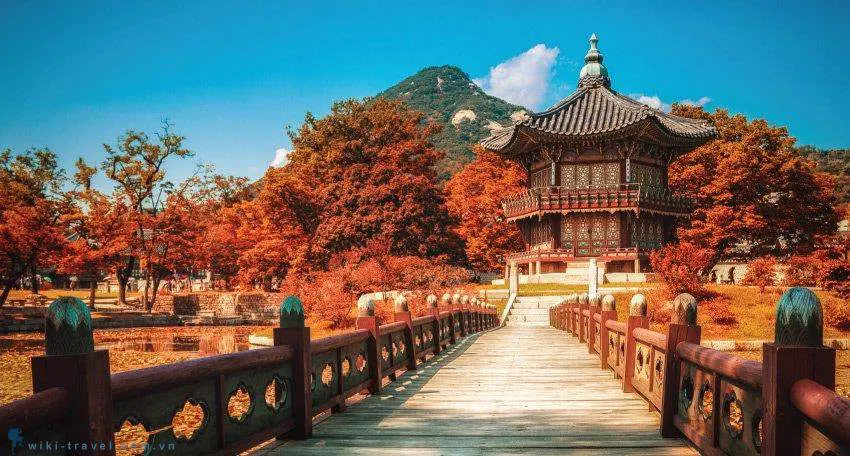 Trung tâm Nhân Lực - Tư Vấn Du Học Và Xuất Khẩu Lao Động